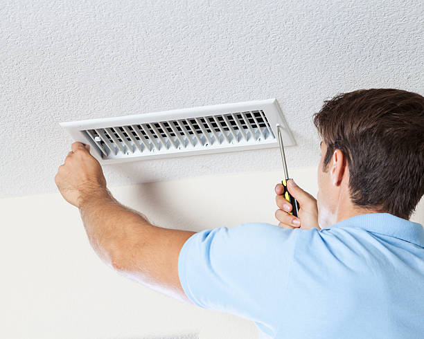 Best Black Mold Removal  in Fallbrook, CA